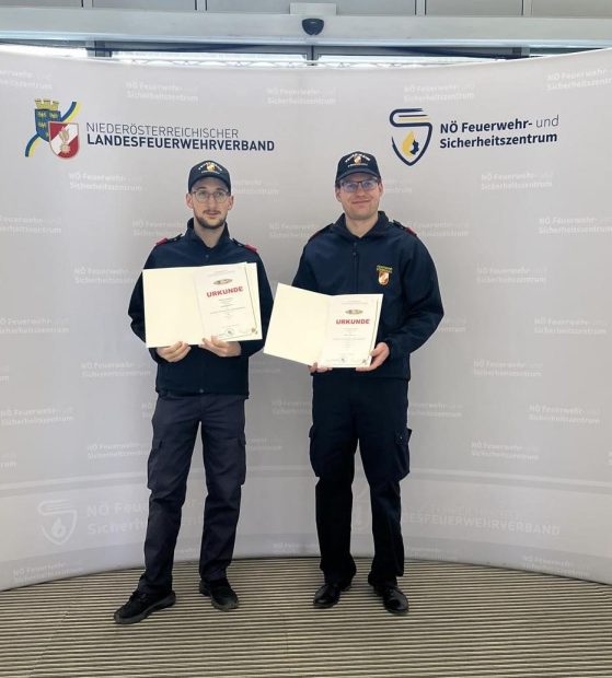 FUNKLEISTUNGSABZEICHEN IN GOLD