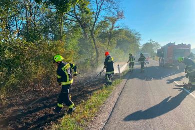 VEGETATIONSBRAND IN FÖHRENAU