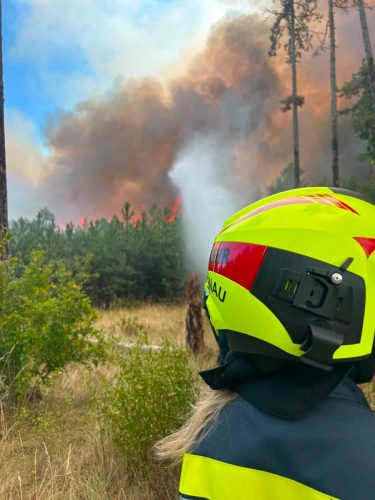 05082026 Waldbrand Nr. 1 1