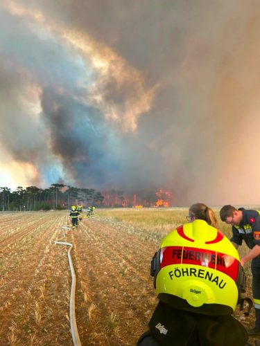 05082026 Waldbrand Nr. 1 2