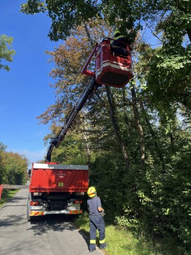 19. auf 20.09,2025 24 Stunden Tag 43