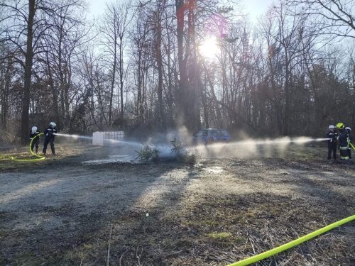 27022026 Christbaumbrand FJ 10