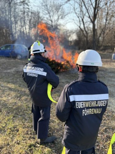 27022026 Christbaumbrand FJ 5