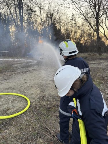 27022026 Christbaumbrand FJ 9